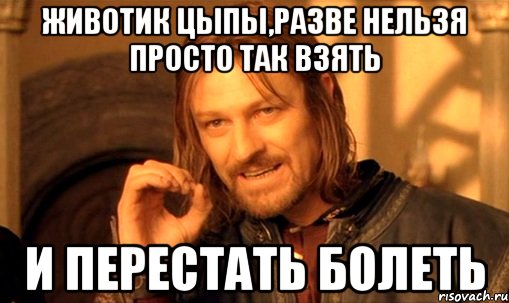 животик цыпы,разве нельзя просто так взять и перестать болеть, Мем Нельзя просто так взять и (Боромир мем)