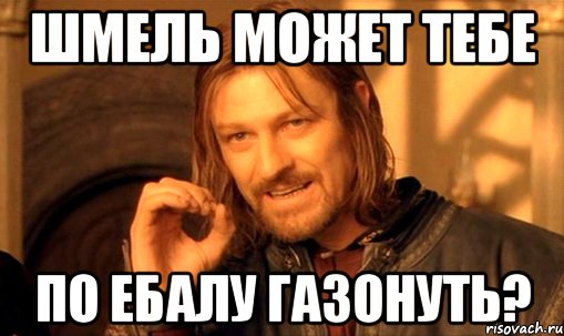 шмель может тебе по ебалу газонуть?, Мем Нельзя просто так взять и (Боромир мем)