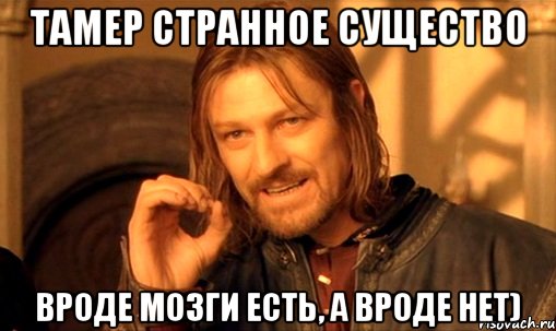 тамер странное существо вроде мозги есть, а вроде нет), Мем Нельзя просто так взять и (Боромир мем)