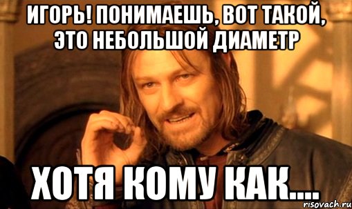 игорь! понимаешь, вот такой, это небольшой диаметр хотя кому как...., Мем Нельзя просто так взять и (Боромир мем)