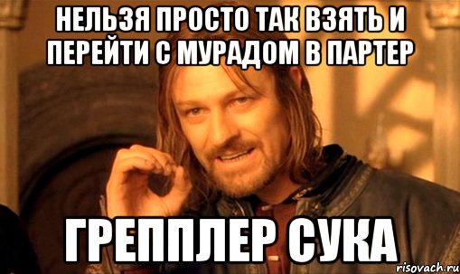 нельзя просто так взять и перейти с мурадом в партер грепплер сука, Мем Нельзя просто так взять и (Боромир мем)