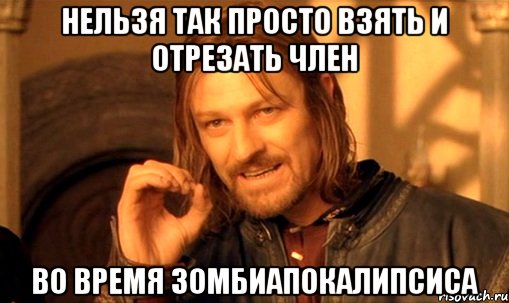 нельзя так просто взять и отрезать член во время зомбиапокалипсиса, Мем Нельзя просто так взять и (Боромир мем)