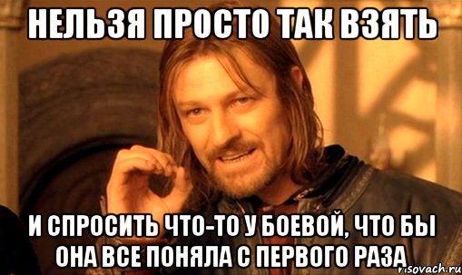 нельзя просто так взять и спросить что-то у боевой, что бы она все поняла с первого раза, Мем Нельзя просто так взять и (Боромир мем)