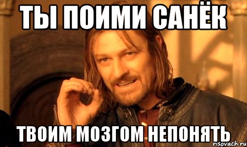 ты поими санёк твоим мозгом непонять, Мем Нельзя просто так взять и (Боромир мем)