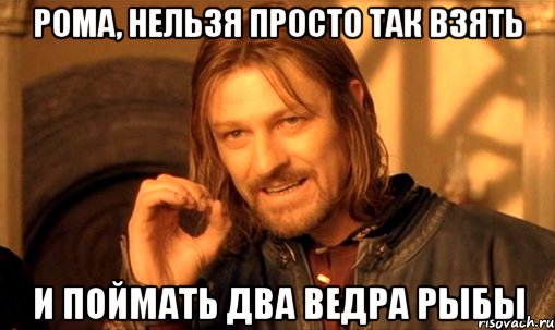 рома, нельзя просто так взять и поймать два ведра рыбы, Мем Нельзя просто так взять и (Боромир мем)