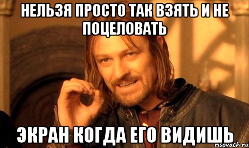 нельзя просто так взять и не поцеловать экран когда его видишь, Мем Нельзя просто так взять и (Боромир мем)