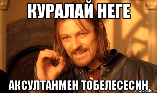 куралай неге аксултанмен тобелесесин, Мем Нельзя просто так взять и (Боромир мем)