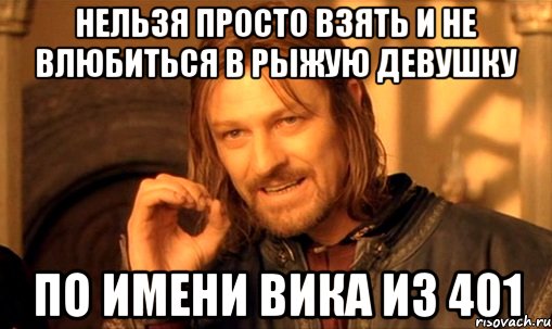 нельзя просто взять и не влюбиться в рыжую девушку по имени вика из 401, Мем Нельзя просто так взять и (Боромир мем)