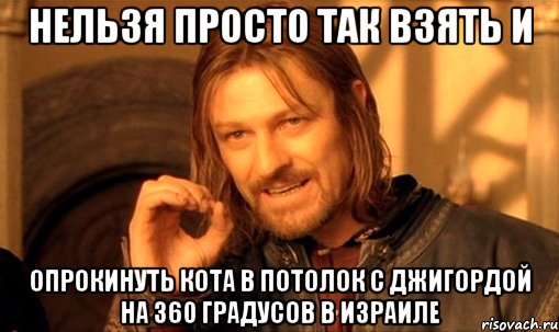 нельзя просто так взять и опрокинуть кота в потолок с джигордой на 360 градусов в израиле, Мем Нельзя просто так взять и (Боромир мем)