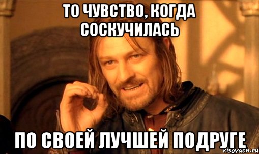 то чувство, когда соскучилась по своей лучшей подруге, Мем Нельзя просто так взять и (Боромир мем)