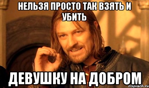 нельзя просто так взять и убить девушку на добром, Мем Нельзя просто так взять и (Боромир мем)