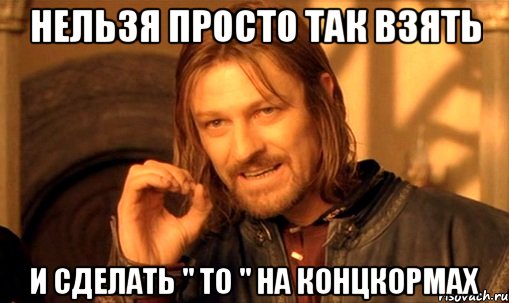 нельзя просто так взять и сделать " то " на концкормах, Мем Нельзя просто так взять и (Боромир мем)