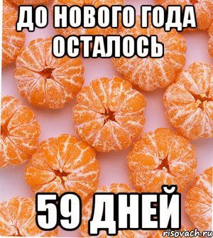 до нового года осталось 59 дней