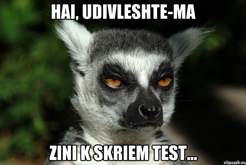 Hai, udivleshte-ma zini k skriem test...