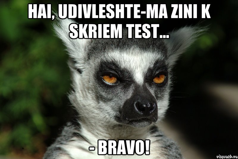 Hai, udivleshte-ma zini k skriem test... - BRAVO!, Мем   Я збагоен