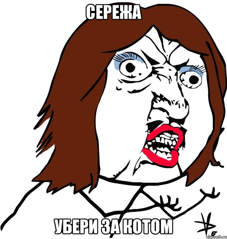 сережа убери за котом, Мем Ну почему (девушка)