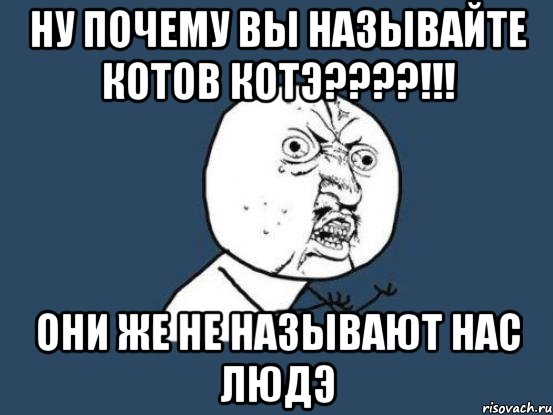 ну почему вы называйте котов котэ???!!! они же не называют нас людэ, Мем Ну почему