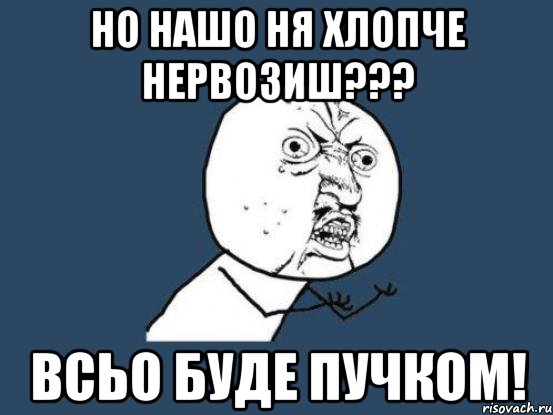 но нашо ня хлопче нервозиш??? всьо буде пучком!, Мем Ну почему