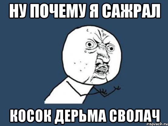 ну почему я сажрал косок дерьма сволач, Мем Ну почему