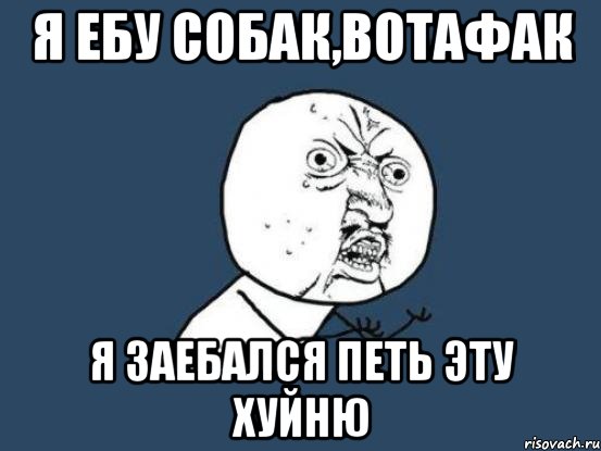 я ебу собак,вотафак я заебался петь эту хуйню, Мем Ну почему