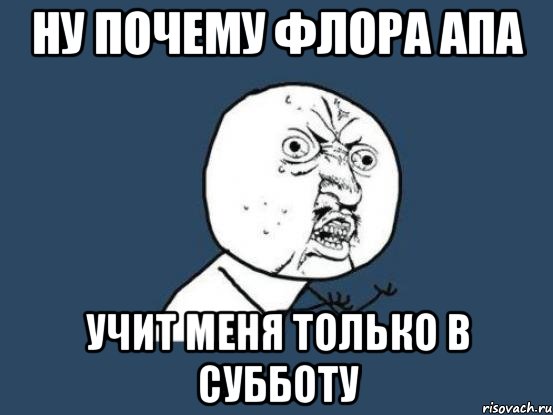 Ну почему ФЛора апа учит меня только в субботу, Мем Ну почему