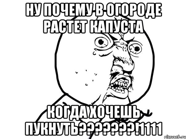 Ну почему в огороде растет капуста Когда хочешь пукнуть???????!1111, Мем Ну почему (белый фон)