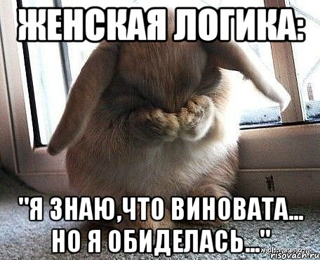 Женская логика: "Я знаю,что виновата... Но я обиделась...", Комикс  Плачет зайка