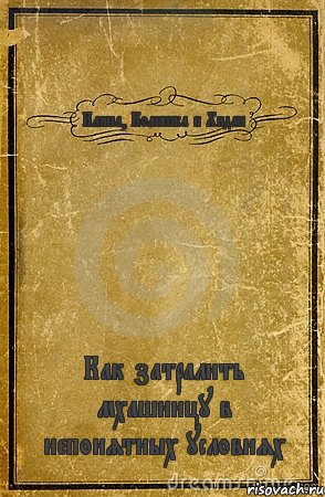 Илина, Болюшка и Хидан Как затралить мхашницу в непонятных условиях, Комикс обложка книги