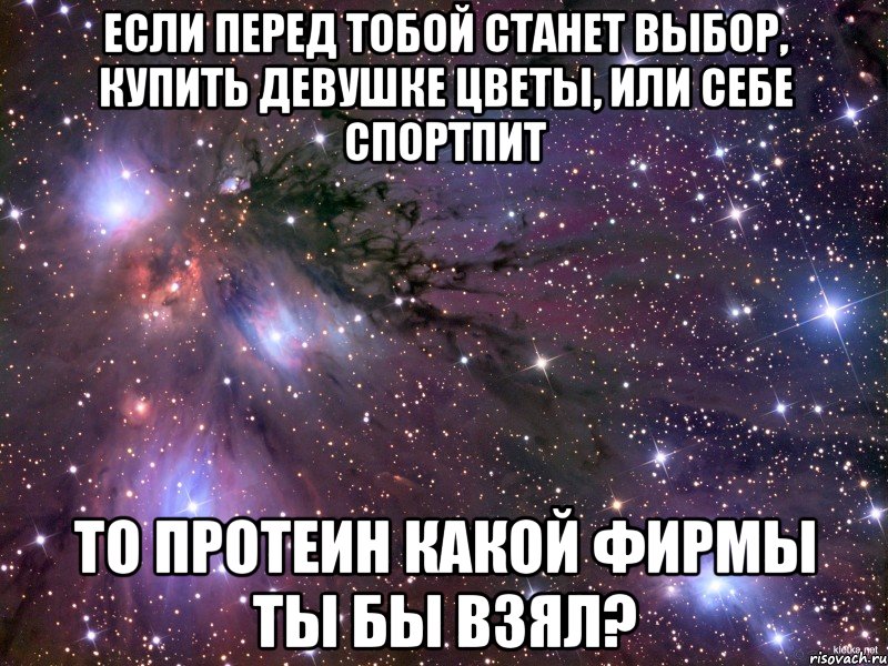 если перед тобой станет выбор, купить девушке цветы, или себе спортпит то протеин какой фирмы ты бы взял?, Мем Космос