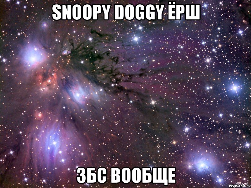 snoopy doggy ёрш збс вообще, Мем Космос