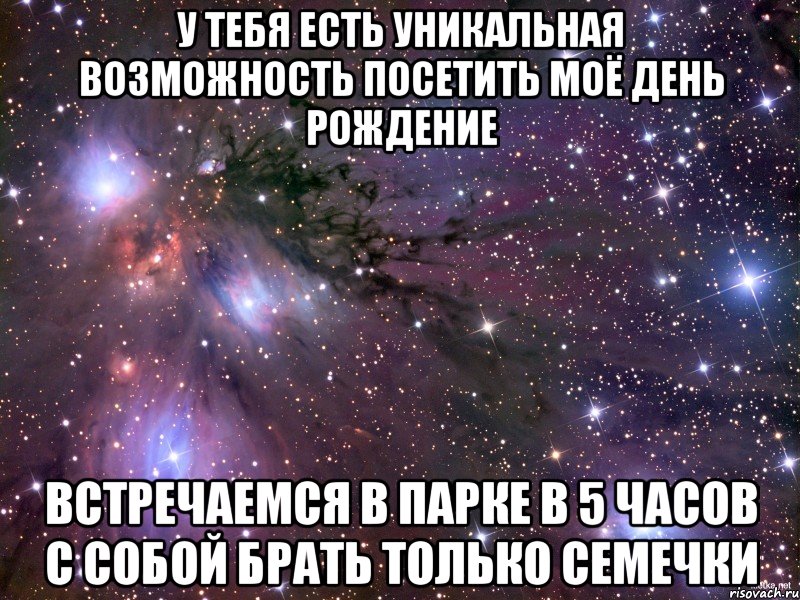 у тебя есть уникальная возможность посетить моё день рождение встречаемся в парке в 5 часов с собой брать только семечки, Мем Космос