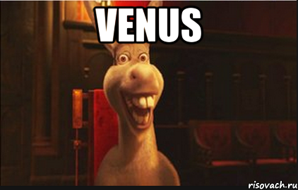 venus 