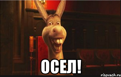  осел!