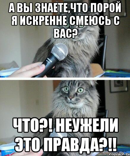 а вы знаете,что порой я искренне смеюсь с вас? что?! неужели это правда?!!, Комикс  кот с микрофоном