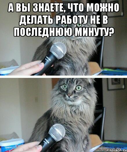 а вы знаете, что можно делать работу не в последнюю минуту? , Комикс  кот с микрофоном