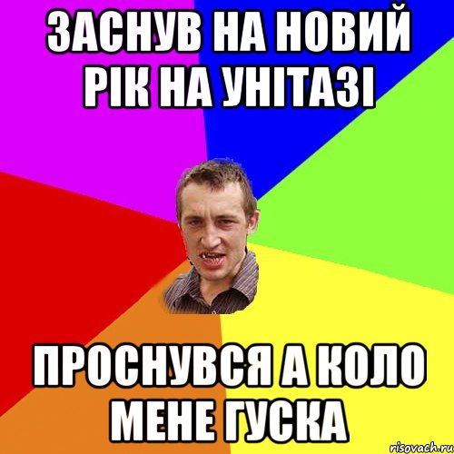 заснув на новий рік на унітазі проснувся а коло мене гуска, Мем Чоткий паца