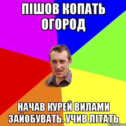 пішов копать огород начав курей вилами зайобувать. учив літать, Мем Чоткий паца