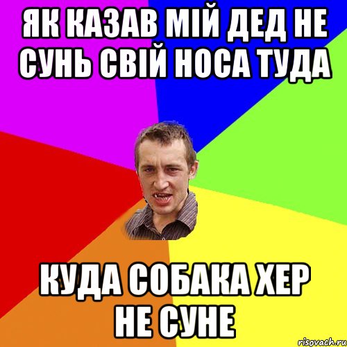 як казав мій дед не сунь свій носа туда куда собака хер не суне, Мем Чоткий паца