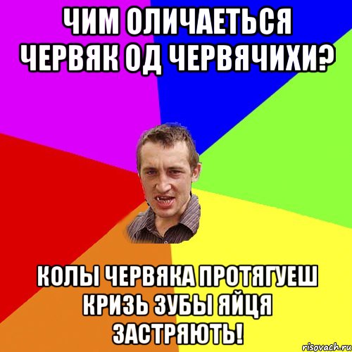 чим оличаеться червяк од червячихи? колы червяка протягуеш кризь зубы яйця застряють!