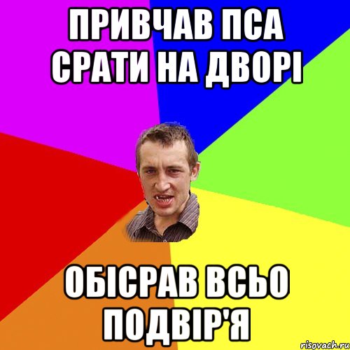 привчав пса срати на дворі обісрав всьо подвір'я, Мем Чоткий паца