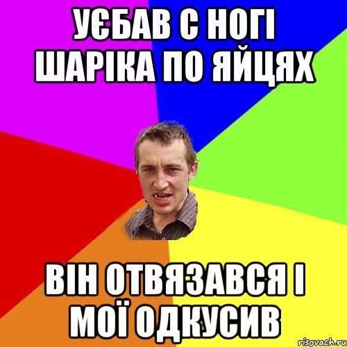 уєбав с ногі шаріка по яйцях він отвязався і мої одкусив, Мем Чоткий паца