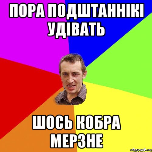 пора подштаннікі удівать шось кобра мерзне, Мем Чоткий паца