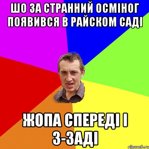 шо за странний осміног появився в райском саді жопа спереді і з-заді, Мем Чоткий паца