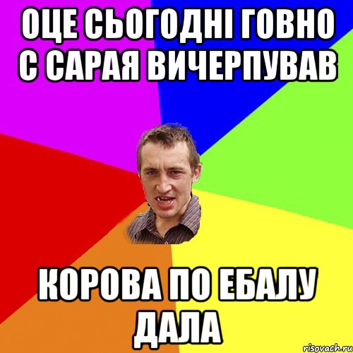 оце сьогодні говно с сарая вичерпував корова по ебалу дала, Мем Чоткий паца