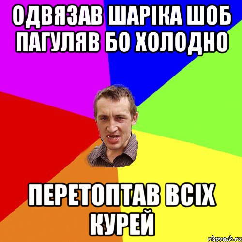 одвязав шаріка шоб пагуляв бо холодно перетоптав всіх курей, Мем Чоткий паца