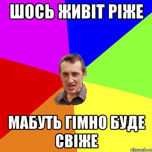 шось живіт ріже мабуть гімно буде свіже, Мем Чоткий паца