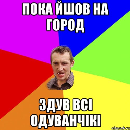 пока йшов на город здув всі одуванчікі, Мем Чоткий паца