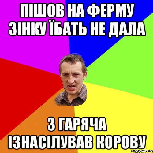 пішов на ферму зінку їбать не дала з гаряча ізнасілував корову, Мем Чоткий паца