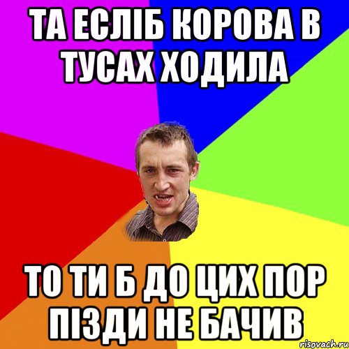 та есліб корова в тусах ходила то ти б до цих пор пізди не бачив, Мем Чоткий паца