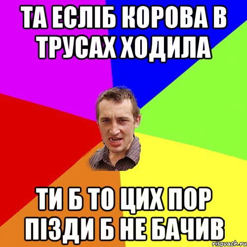 та есліб корова в трусах ходила ти б то цих пор пізди б не бачив, Мем Чоткий паца